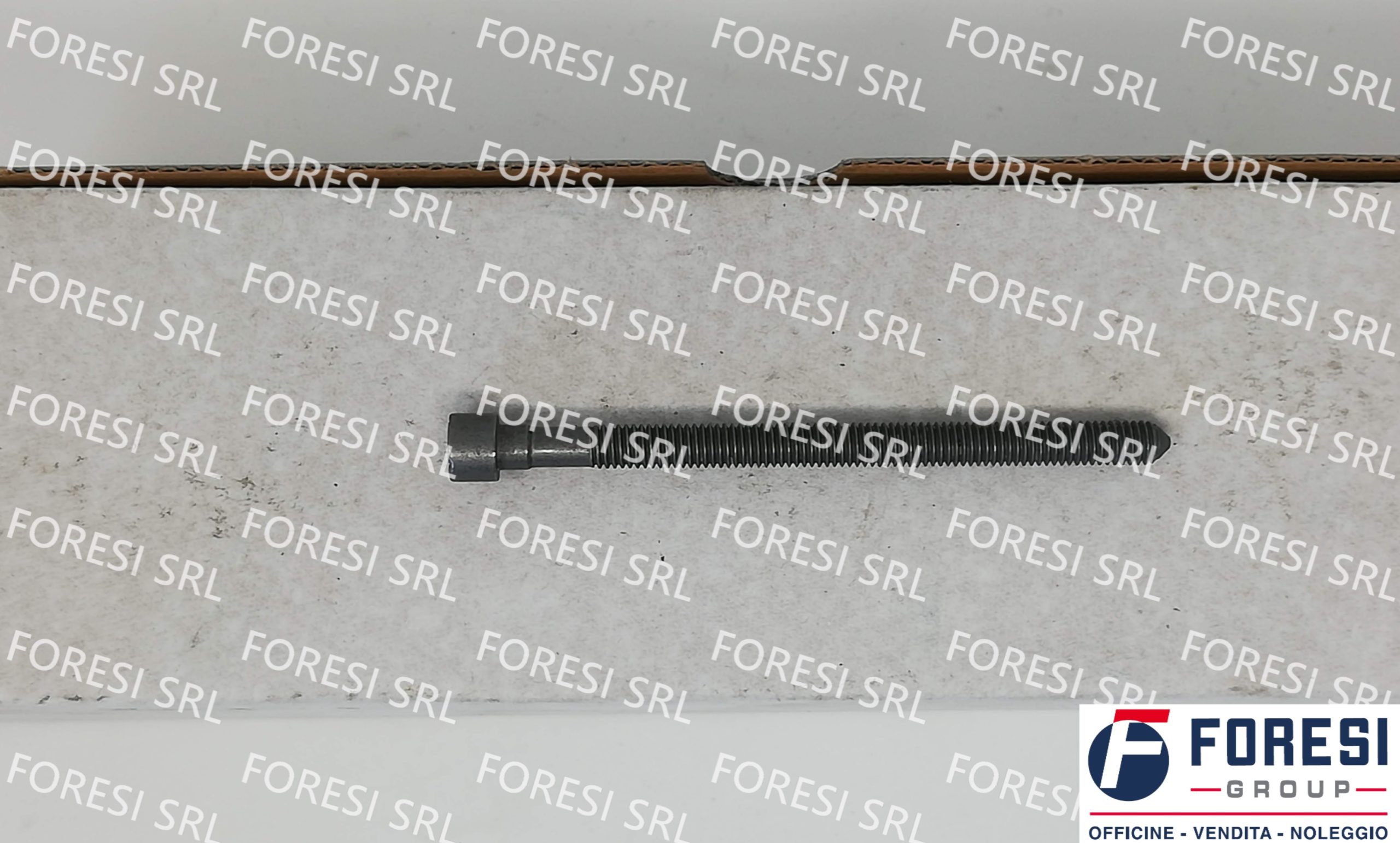 VOLKSWAGEN: VITE WHT003179