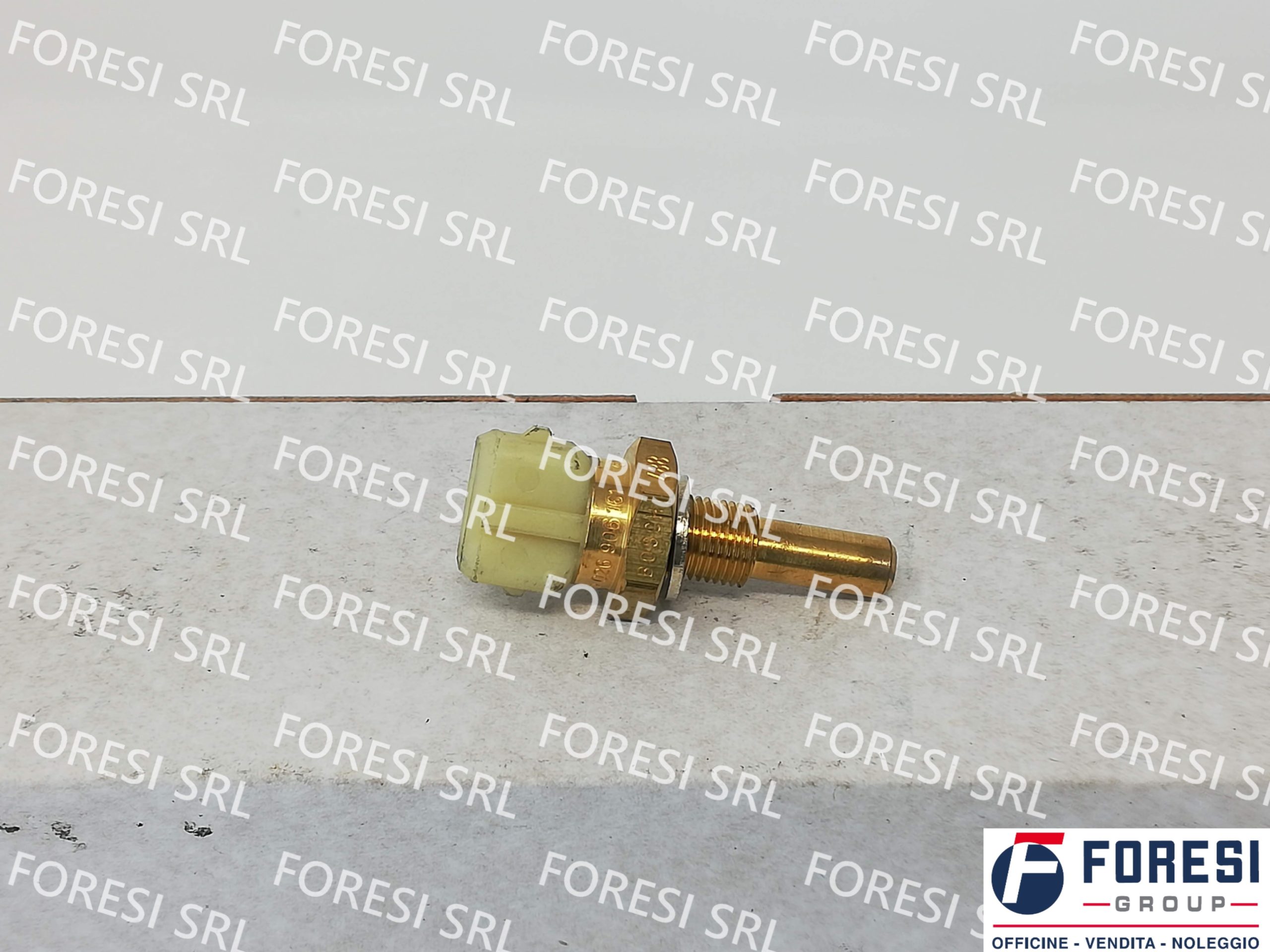 VOLKSWAGEN: SENSORE DI TEMPERATURA 026906161