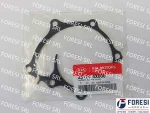 KIA: GUARNIZIONE POMPA ACQUA 251244X000