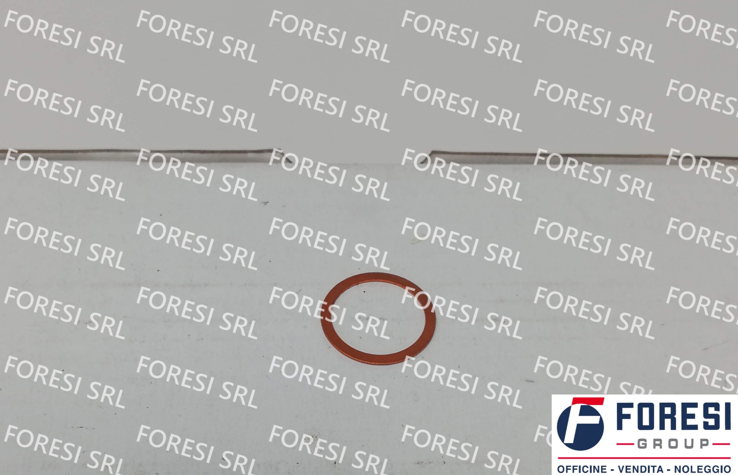 FIAT: RONDELLA INIETTORE 4279494