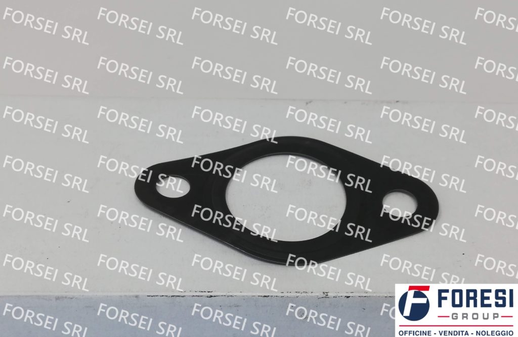 FIAT: GUARNIZIONE  5802102098