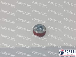 IVECO: TAPPO BLOCCO MOTORE 4895079