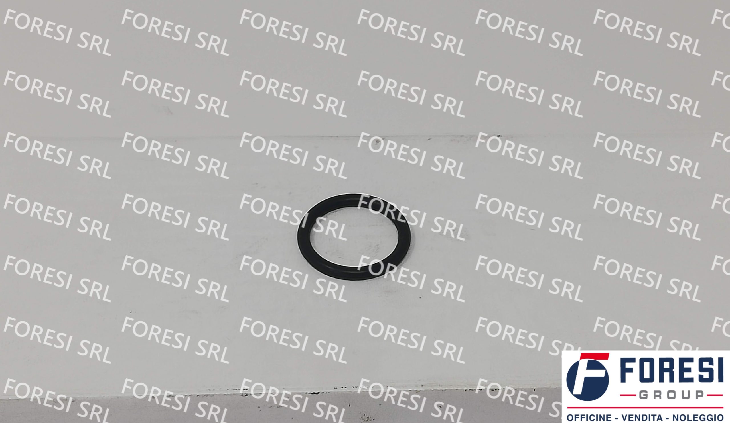 GUARNIZIONE O-RING 215300480