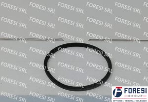 FORD: O-RING  7151056