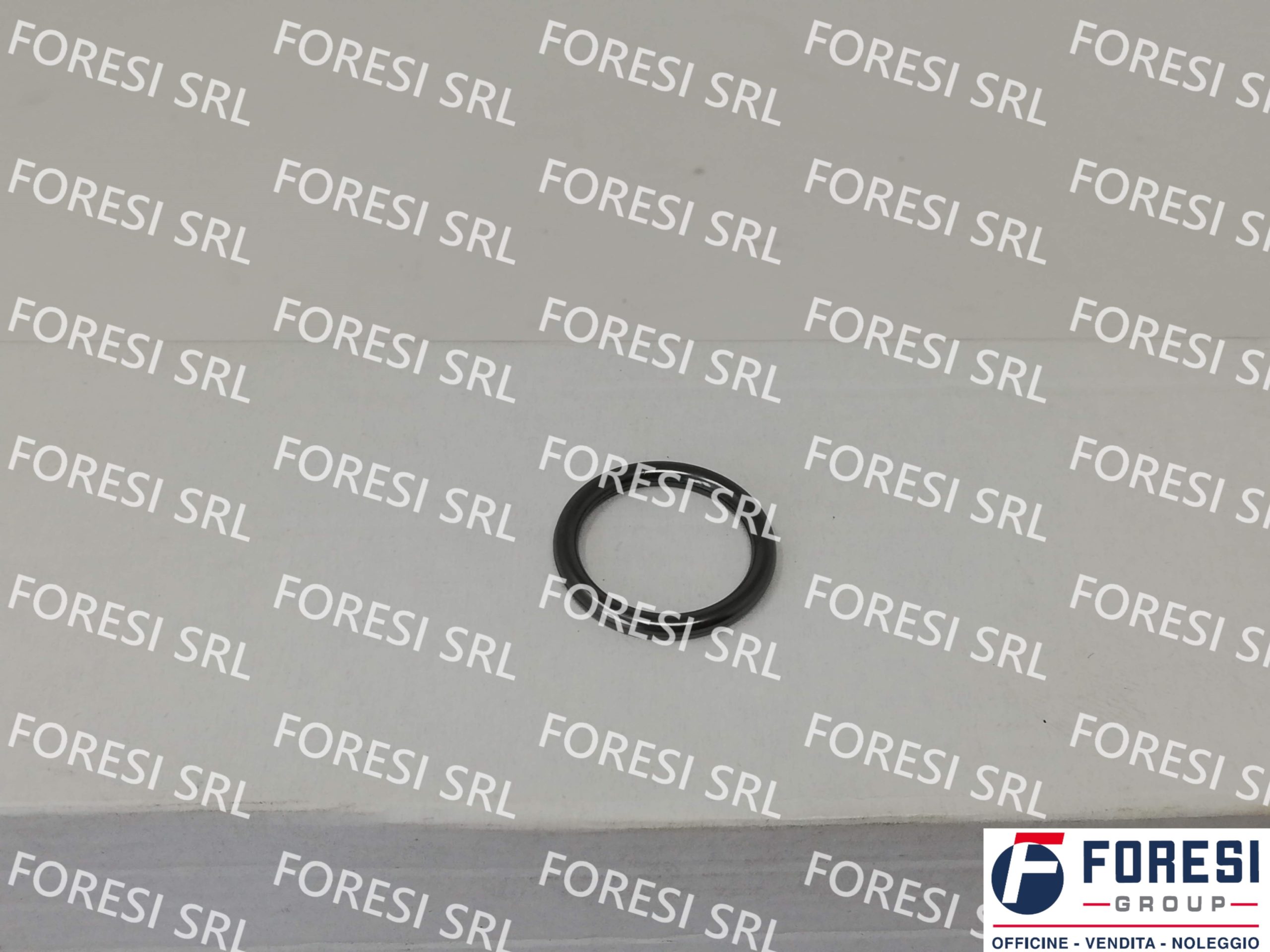 DAF: O-RING INIETTORE CARBURANTE 1404047