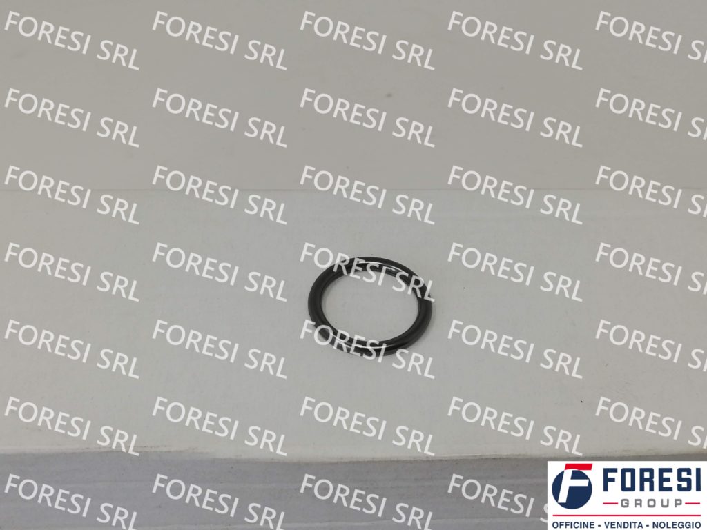DAF: O-RING INIETTORE CARBURANTE 1404047