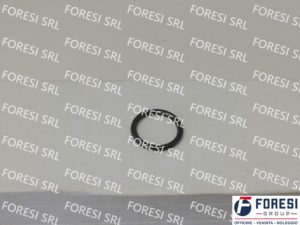 DAF: O-RING INIETTORE CARBURANTE 1404047