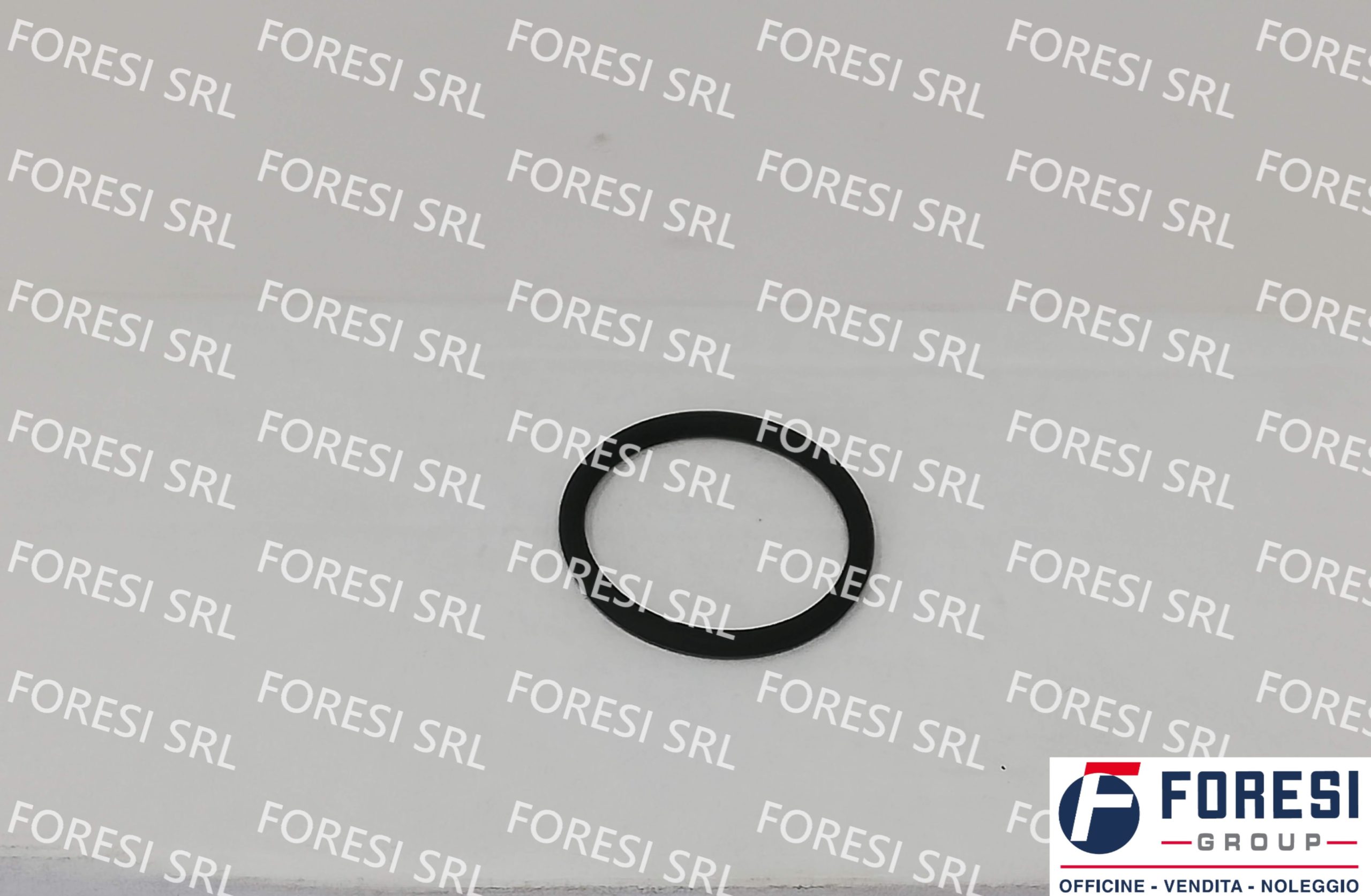 DAF: O-RING INIETTORE 1638271