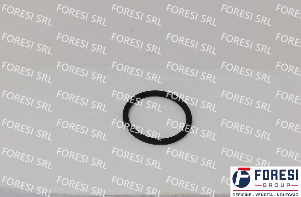 DAF: O-RING INIETTORE 1638271