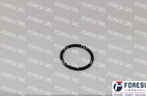DAF: O-RING INIETTORE 1638271
