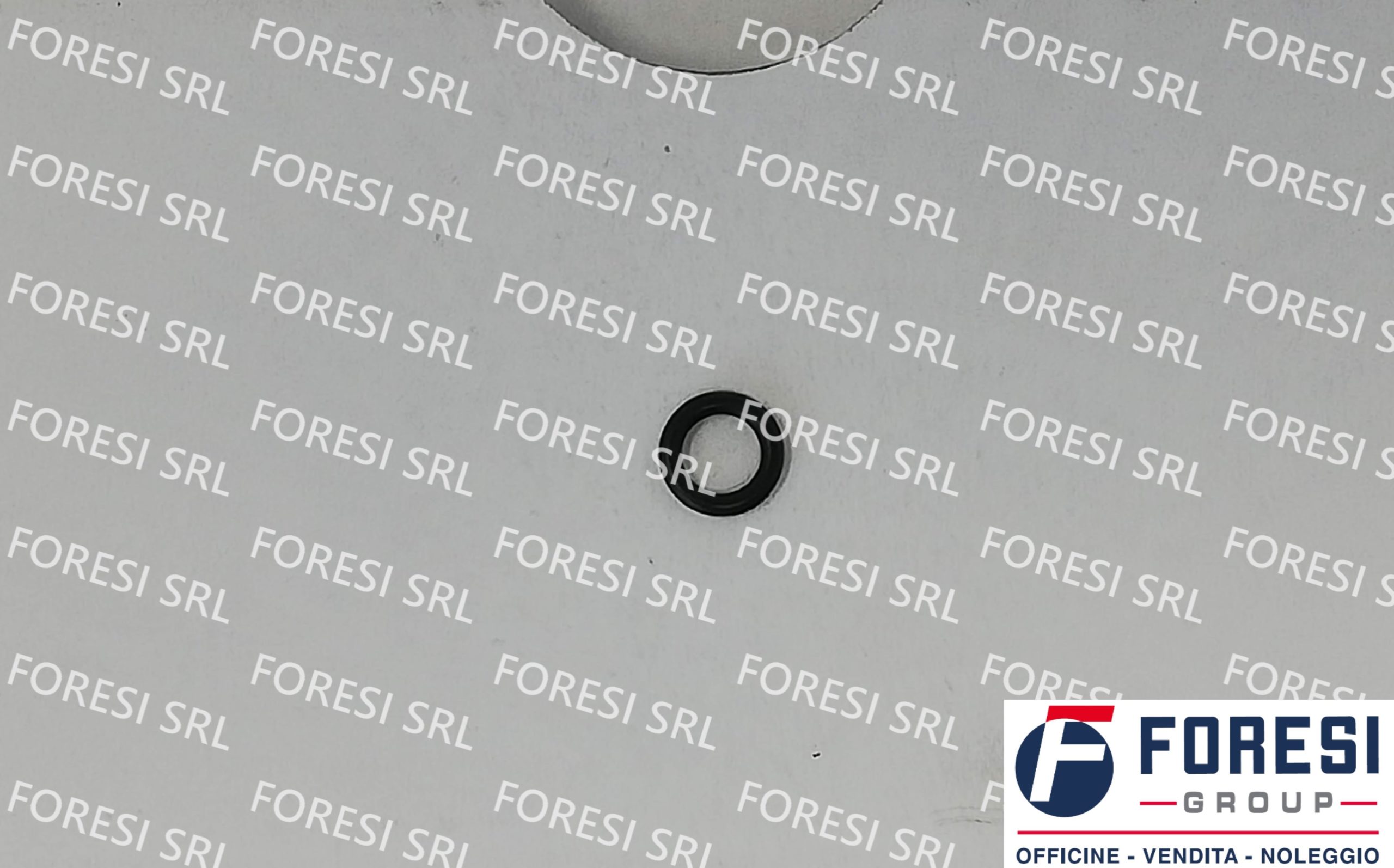 SCANIA: O-RING 804873