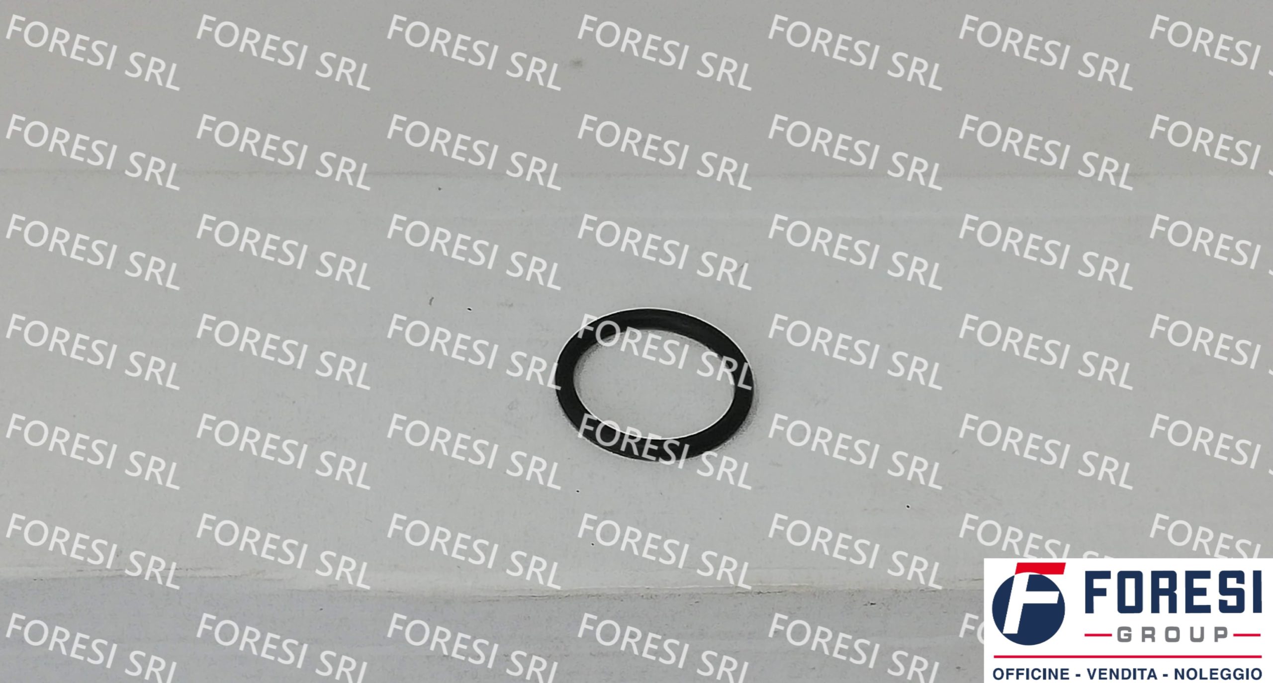 SCANIA: O-RING 269787