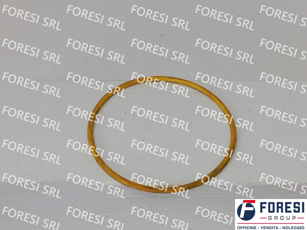 SCANIA: O- RING 1373126