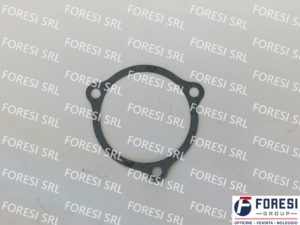 SCANIA: GUARNIZIONE 391437