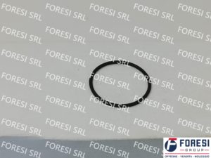 CUMMINS: O-RING INIETTORE 205216