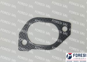 DEUTZ: GUARNIZIONE COLLETTORE SCARICO 4223020