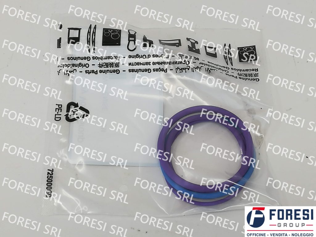 VOLVO: KIT GUARNIZIONE INIETTORE 276948