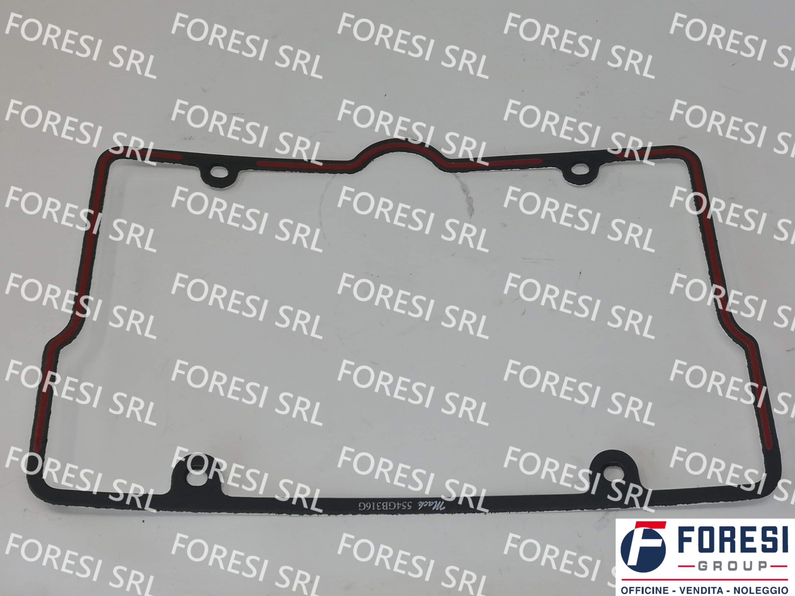 RENAULT: GUARNIZIONE COPERCHIO VALVOLE 5001834126