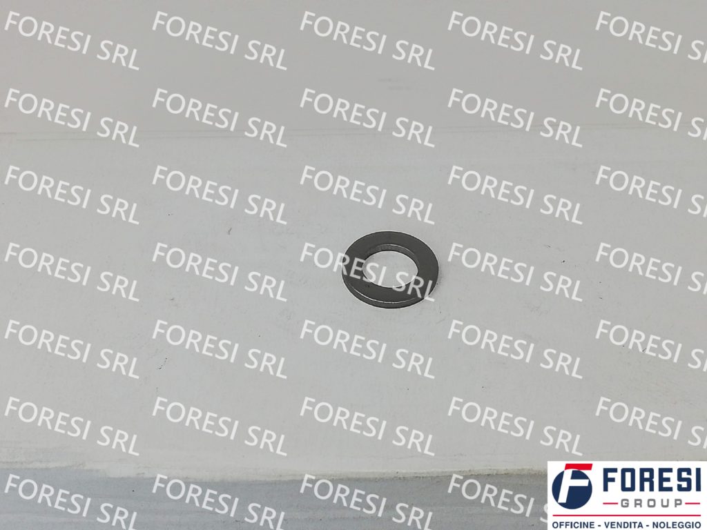 RENAULT: ANELLO DI TENUTA 5010284209
