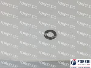 RENAULT: ANELLO DI TENUTA 5010284209