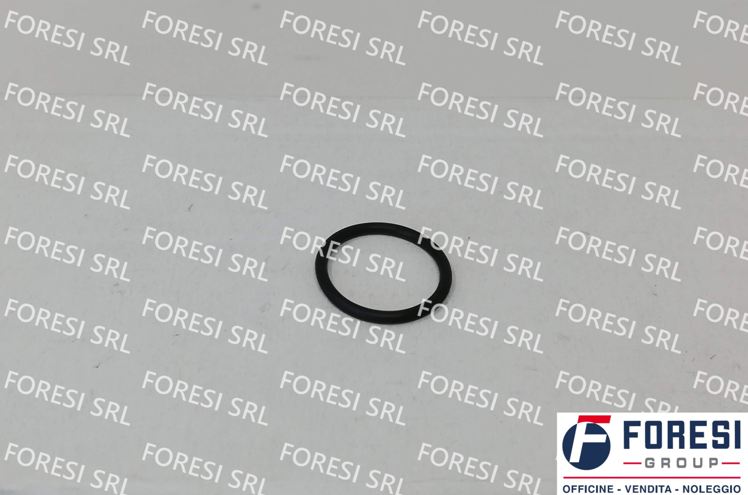 RENAULT: O-RING 5010284210