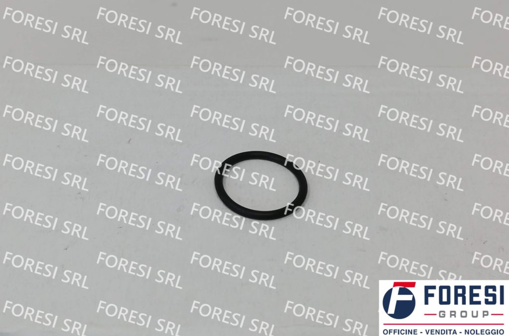 RENAULT: O-RING 5010284210