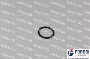 RENAULT: O-RING 5010284210