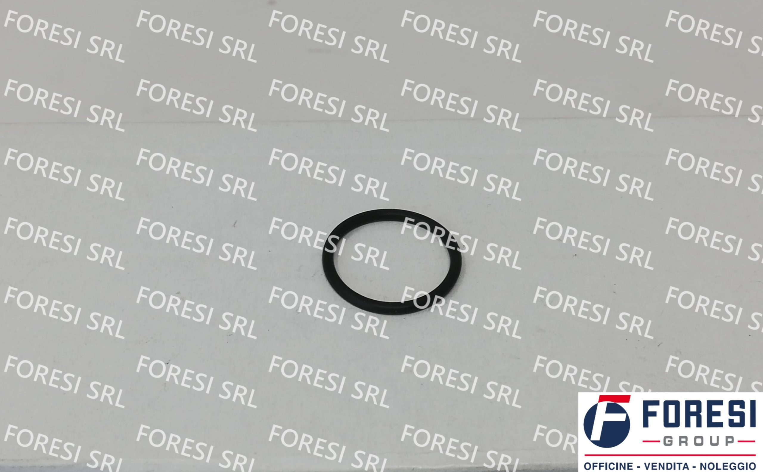 RENAULT: ANELLO DI TENUTA 5010284798