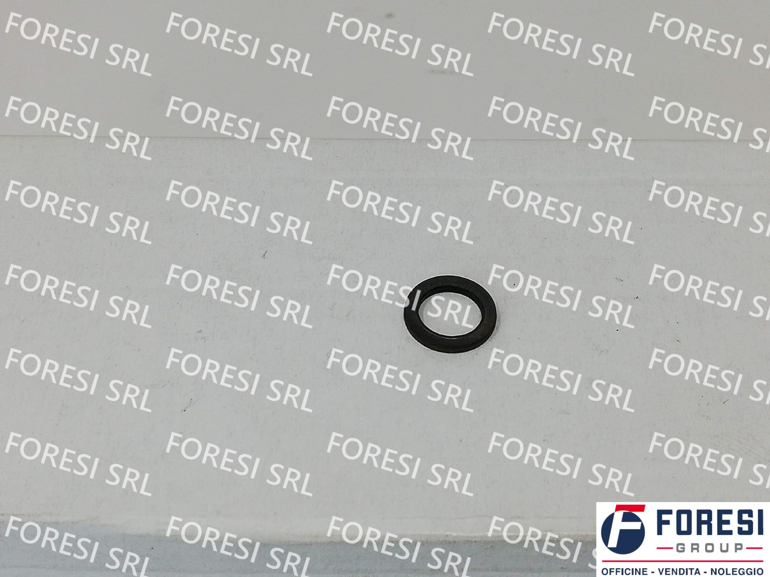 RENAULT: O-RING 5010284803
