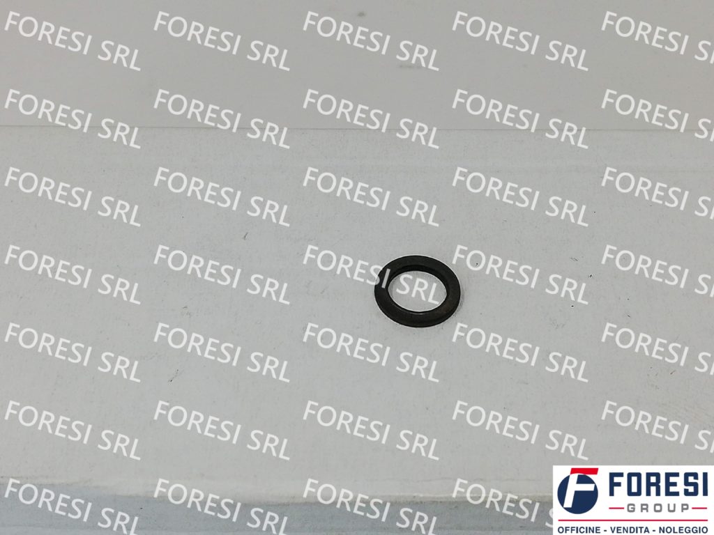 RENAULT: O-RING 5010284803