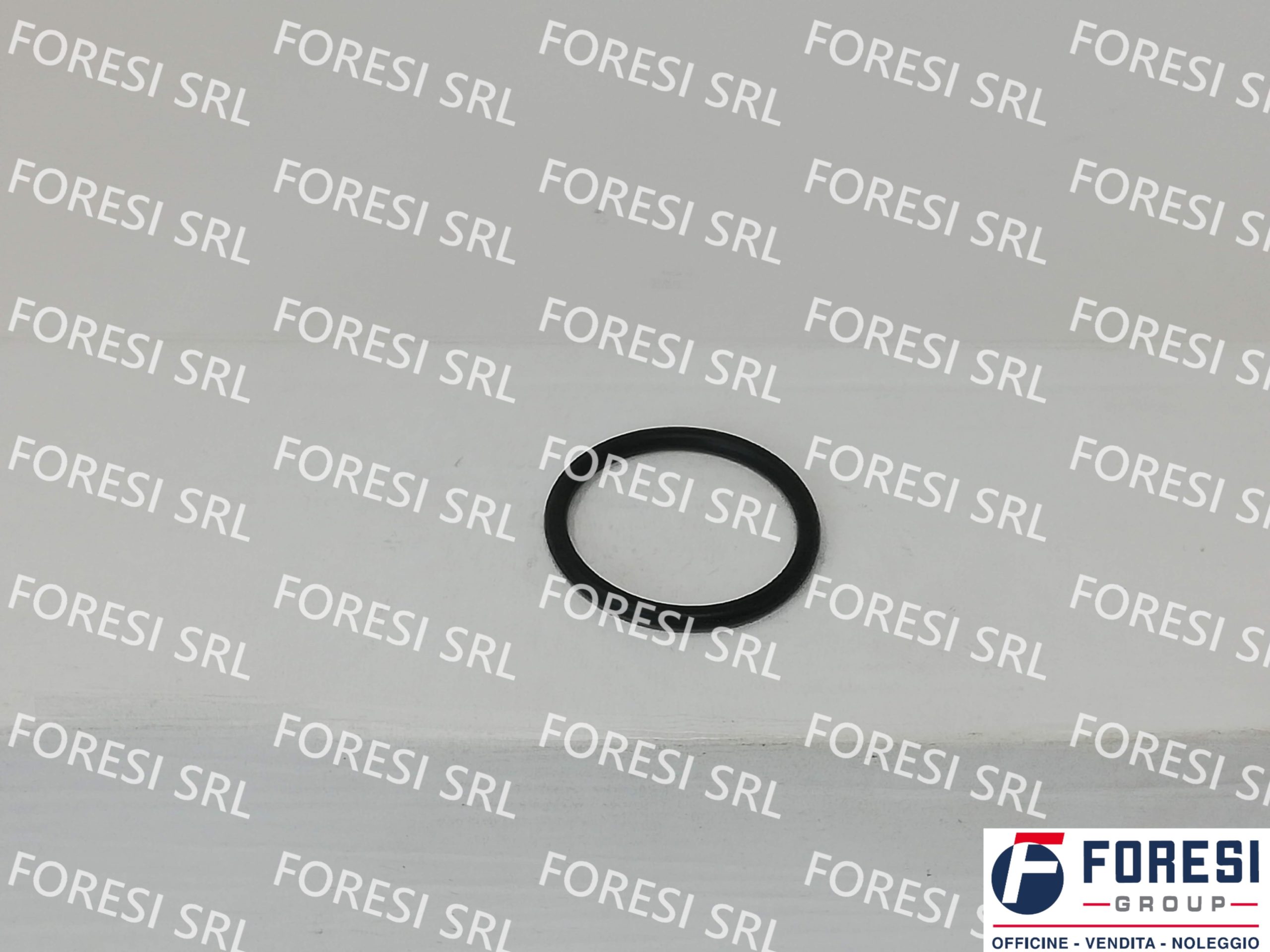 RENAULT: O-RING INIETTORE 7420536487