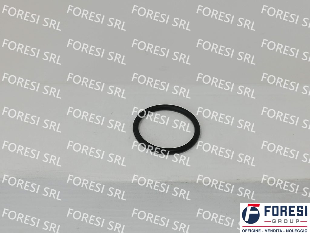RENAULT: O-RING INIETTORE 7420536487
