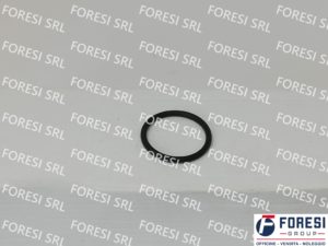 RENAULT: O-RING INIETTORE 7420536487