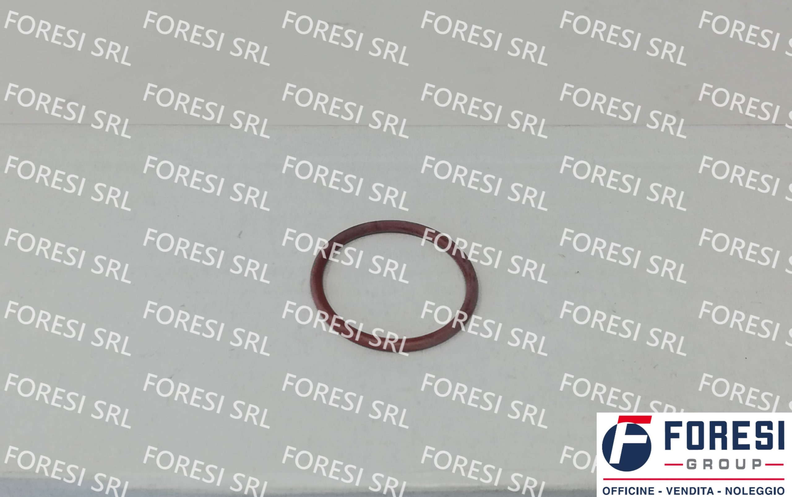 RENAULT: O -RING 5003065203