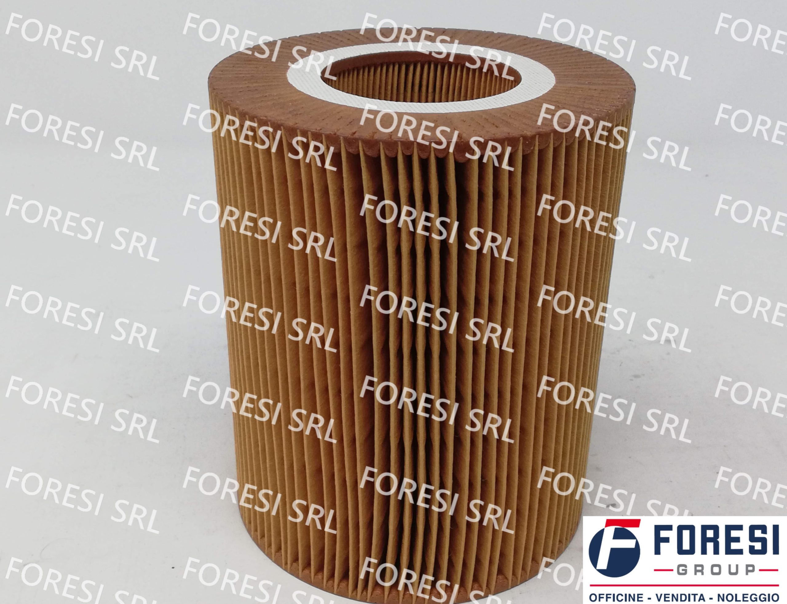 BOSCH: CARTUCCIA FILTRO ARIA 1457433715