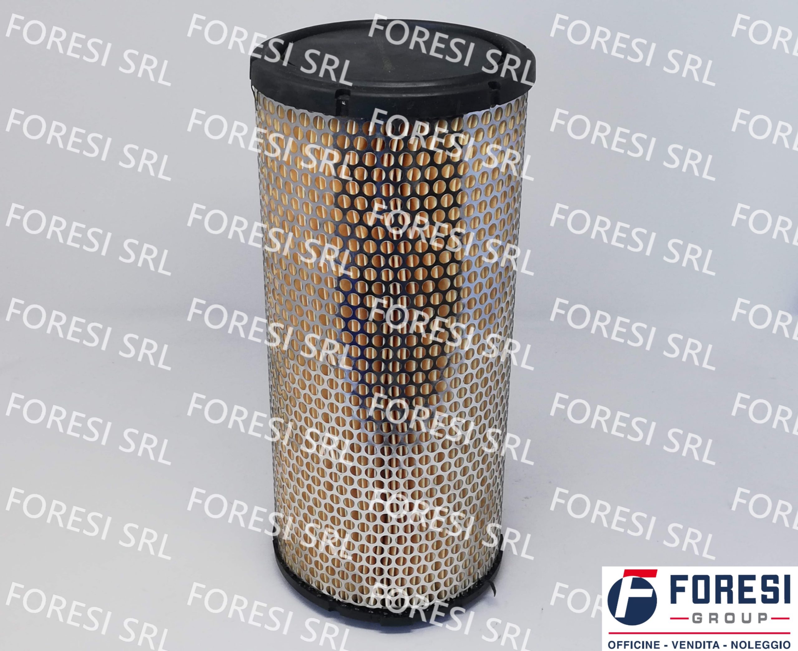 BOSCH: CARTUCCIA FILTRO ARIA 1457433270