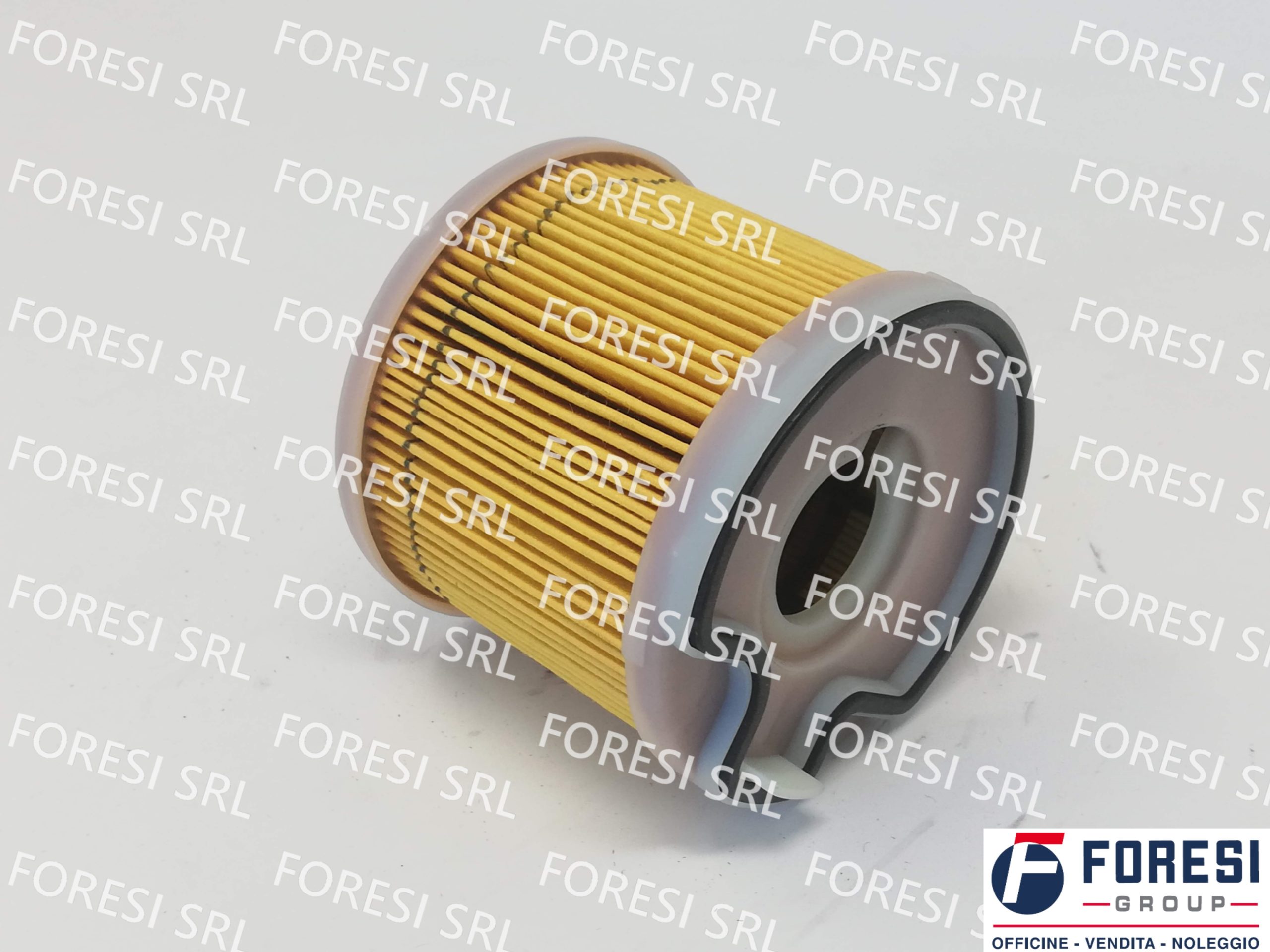 BOSCH: FILTRO CARBURANTE 1457030013
