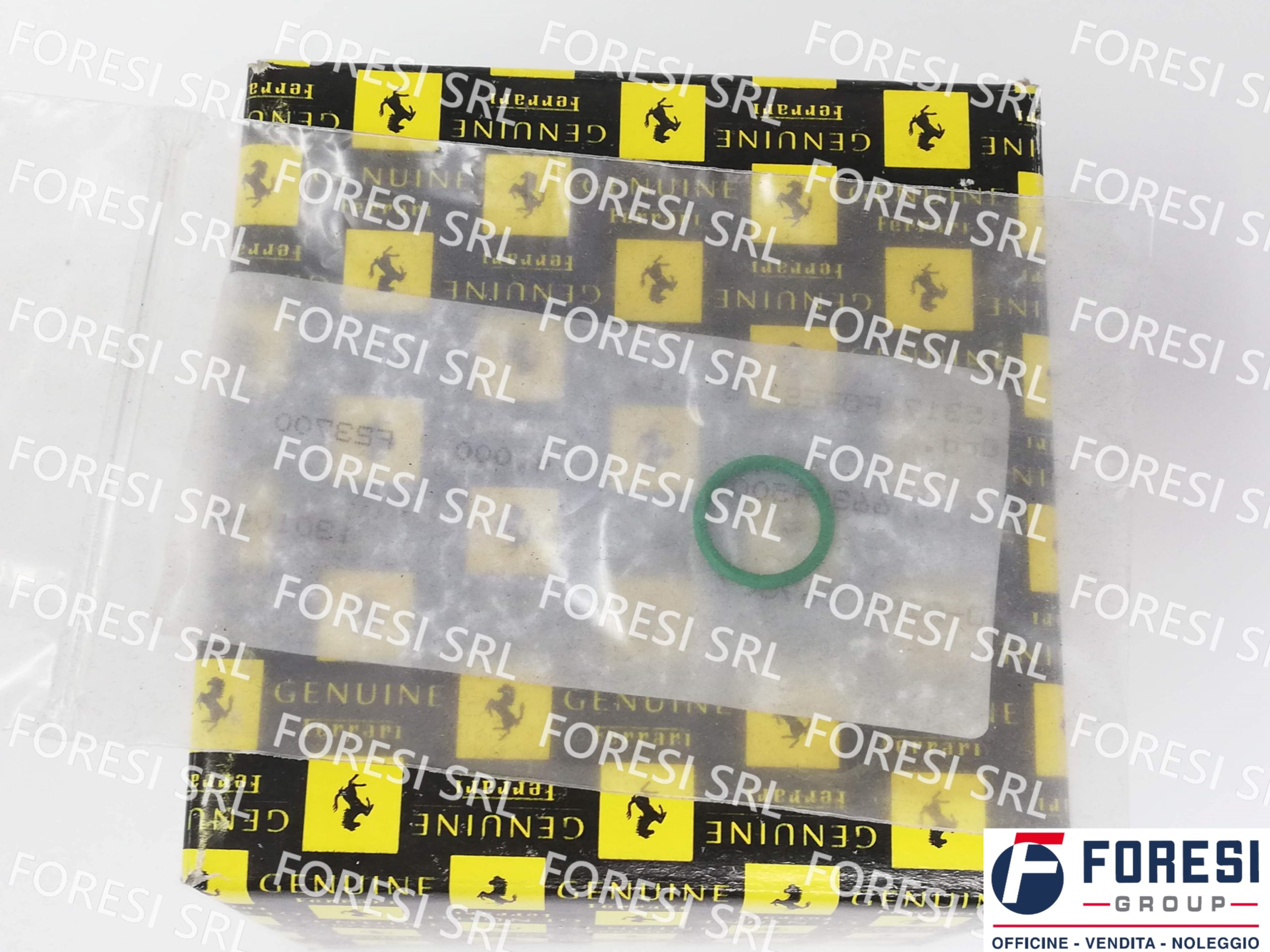 GUARNIZIONE O-RING 66309500