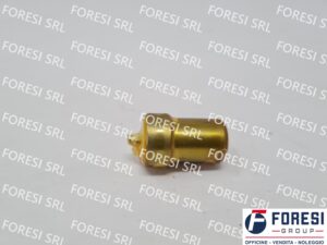 BOSCH: POLVERIZZATORE A PERNETTO 0434250158
