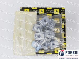 STAFFETTA 14189071