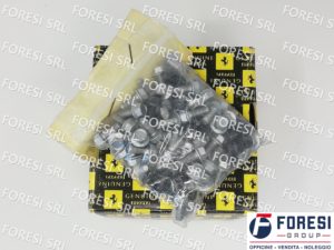 VITE FLANGIATA 16285014