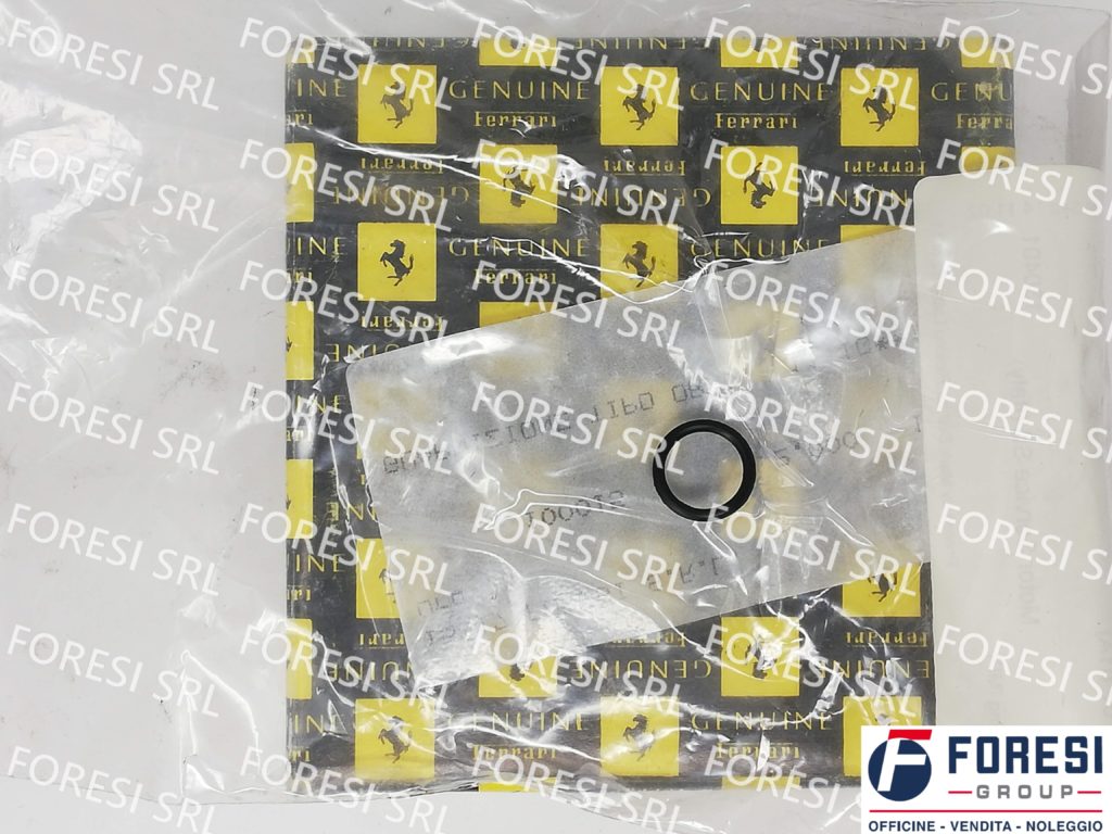 GUARNIZIONE O-RING 100015