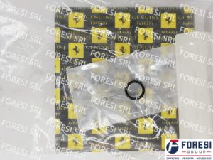GUARNIZIONE O-RING 100015