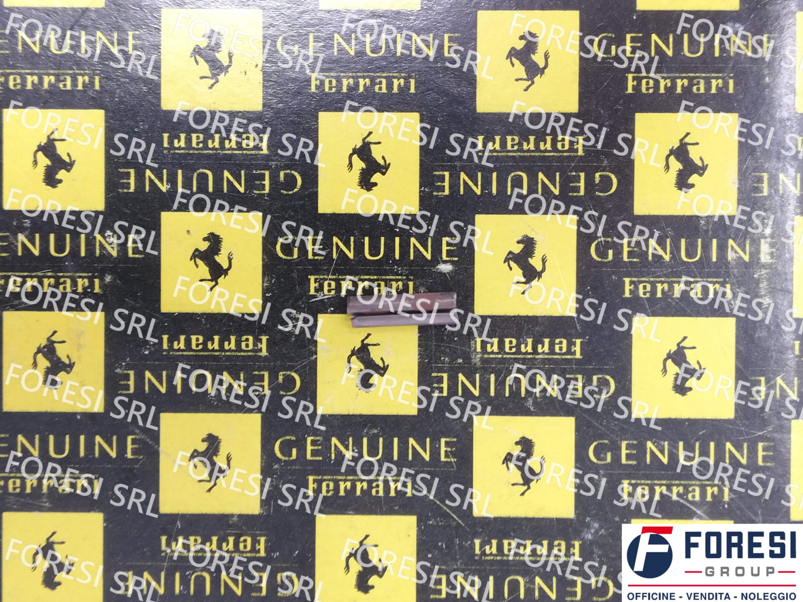 SPINA ELASTICA 14158570