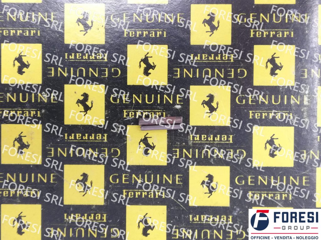 SPINA ELASTICA 14158570