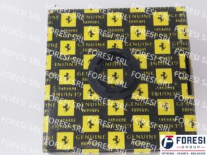 MOSTRINA INTERRUTTORE 68917600