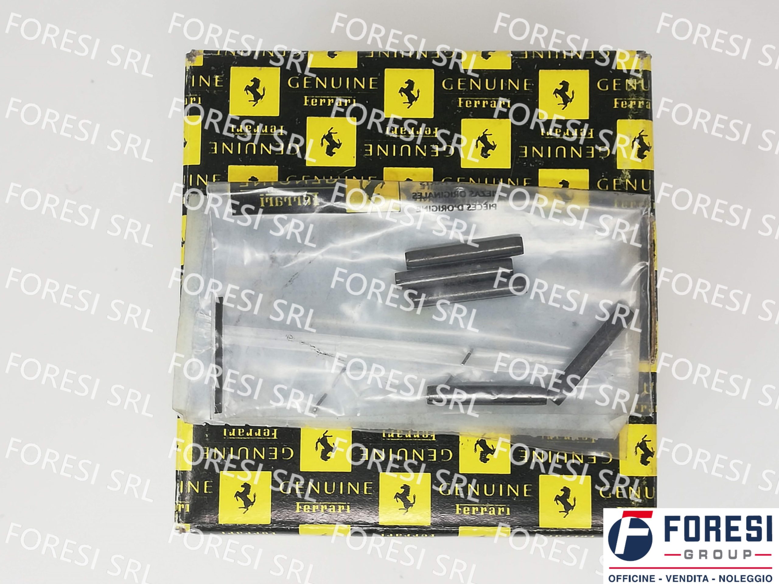 SPINA ELASTICA 13904970