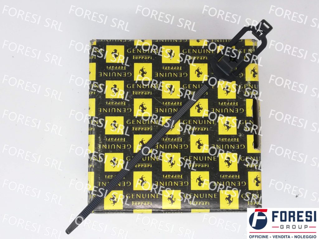 FASCETTA 177553