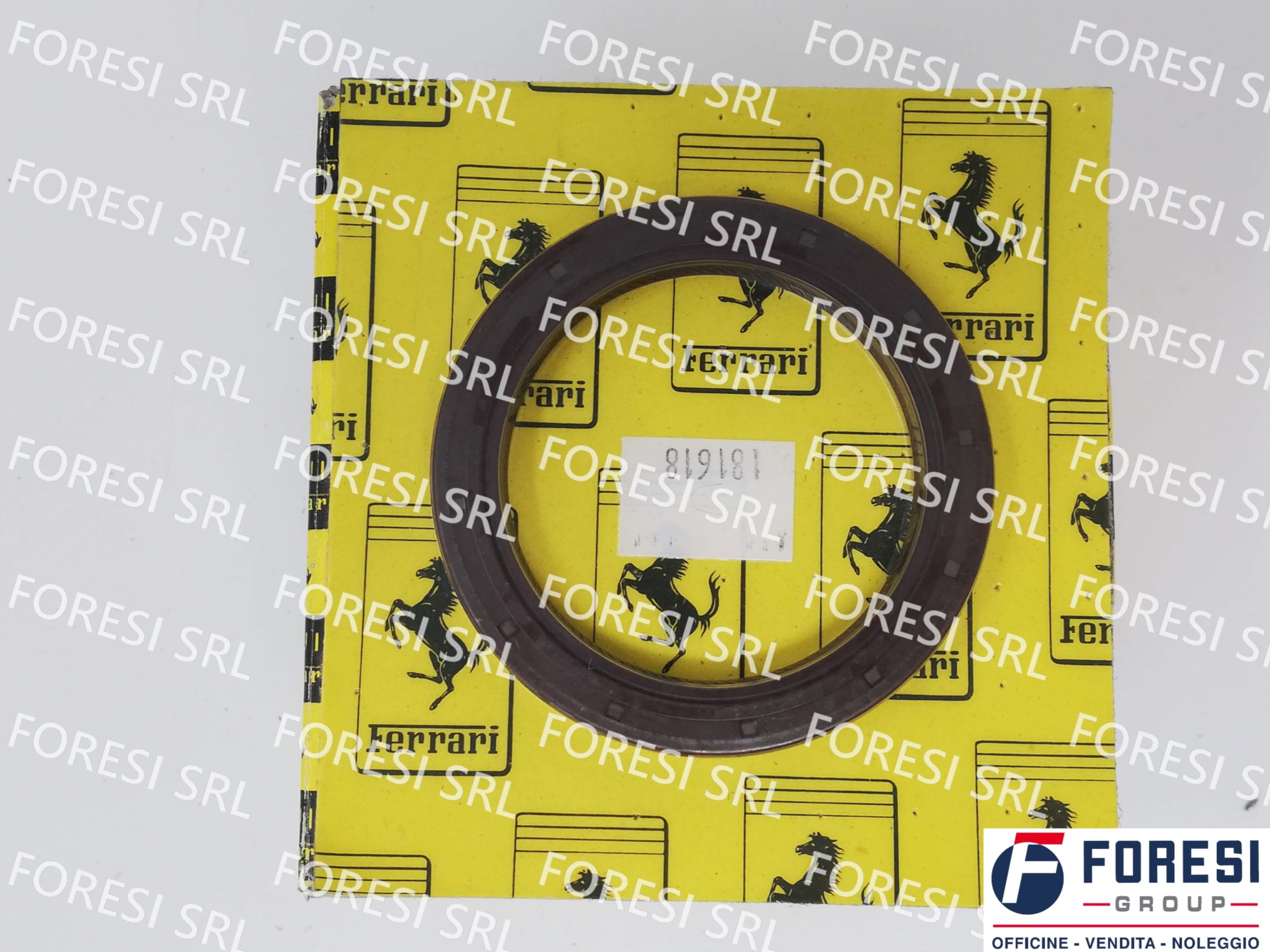 GUARNIZIONE DX 181618