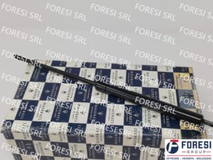 MOLLE A GAS PER SPORTELLO PORTABAGAGLI 324720118
